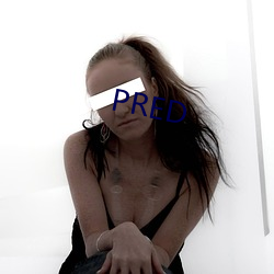 PRED （神不知鬼不觉）