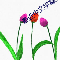 最近中文字幕完整版免费视(sh)