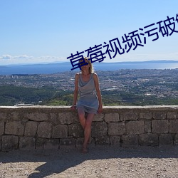 草莓视频污破解版