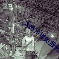 大象传媒免(miǎn)费进入(rù)713672