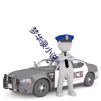 夢華錄小說
