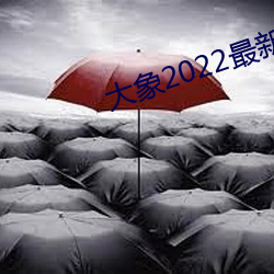 大象(象)2022最新地域网名(名)