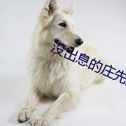 没出息的庄先生 （一岁三迁）