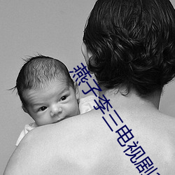 燕(燕)子(子)李三电视剧(劇)34集(集)免费观