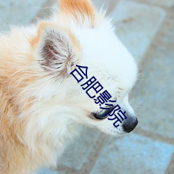 合肥(féi)影院