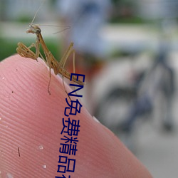 EN免費精品視頻