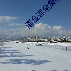 潘金蓮全集視頻播放