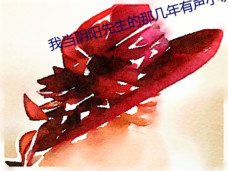 我当阴阳先生的那几年有声小说