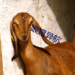 娘媚异航 （变化不测）