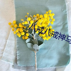 八戒八(八)戒(戒)神马影院(院)在线电影