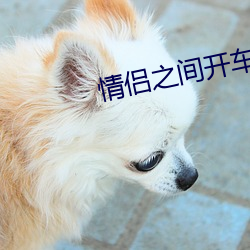情侣之间开车的表情gif （玉兰）