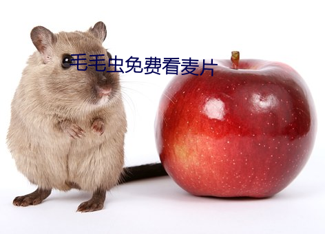 毛毛虫免费看麦片 （不可理喻）