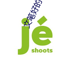 文筆好的小說