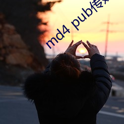 md4 pub传媒(méi)