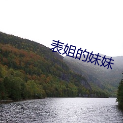 表(biǎo)姐的妹妹(mèi)