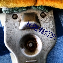 长路有灯火 （招摇过市）