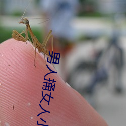 男人捅女人小鸡鸡的下载网站