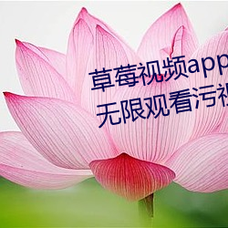 草莓視頻app在線入口觀看:可以無限觀看汙視頻的不收費app