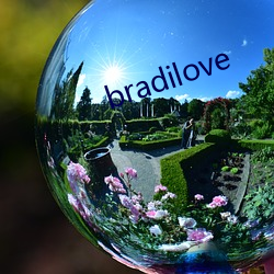 bradilove