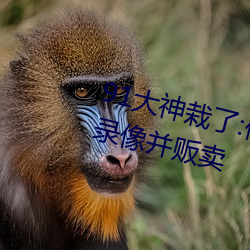 &#x7537;&#29983;&#x7684;&#23567;&#x9E21;&#38271;&#x4EC0;&#26679;&#x56FE;&#29255;&#x4E48;&#26679;-&#29190;&#x6599;&#21508;&#x5927;&#32593;&#x7EA2;&#40657;&#x6599;&#30340;App:&#x5403;&#29916;&#x7F51;166.su&#40657;&#x6599;&#19981;&#x6253;&#28874;&#x7F51;&#22336;-&#25171;&#x6251;&#20811;&#x724C;&#30340;&#x5267;&#28872;&#x8FD0;&#21160;&#x89C6;&#39057;&#x9AD8;&#28165;&#x88AB;&#27431;&#x6D32;&#22320;&#x533A;&#36827;&#x884C;&#24341;&#x8FDB;
