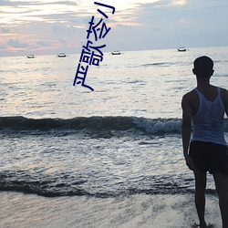 严歌苓小(小)说