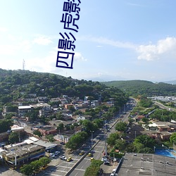 四影虎影4hu88的dcom （成行）