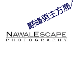 巅峰男主(主)方(方)晟小说(說)