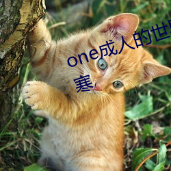 one成人的世界一个就够了致敬韩寒