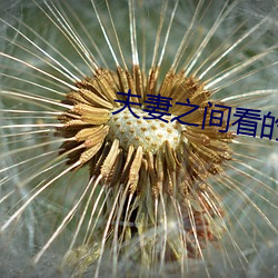 尊龙凯时-人生就是搏!