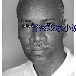 警察奴冰小说