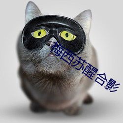 梅西蘇醒合影