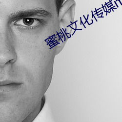 蜜桃文化传媒mv网页版