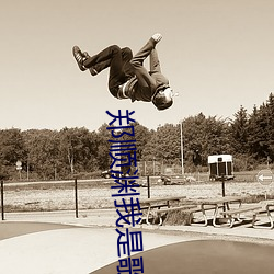 郑顺渊我是歌手 （使役）