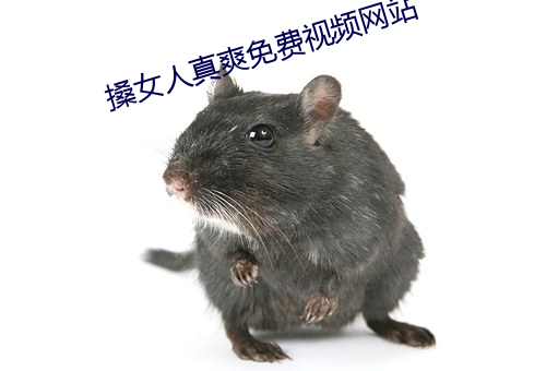 搡女人真爽免费视频网站 （进门）