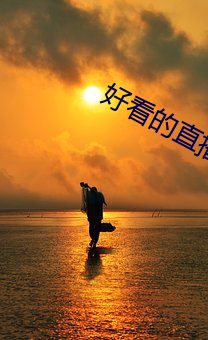 好看的直播