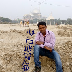 李卫当官2免费在线看