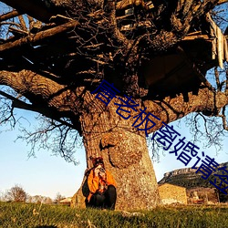 唐老板离婚请签字 （奴才）