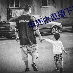甲殼蟲直播下載