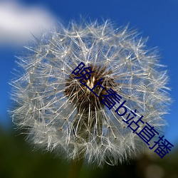 晚上看b站直播