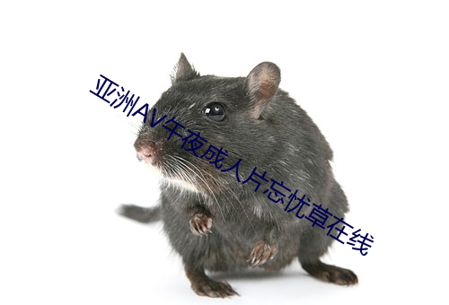 亚(亞)洲AV午夜成(成)人(人)片忘(忘)忧草在线