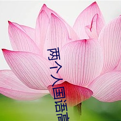 两个人国语高清在线观看