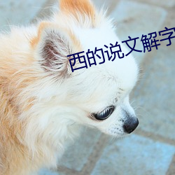 西的說文解字解釋