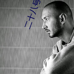 二十(十)八号徐静媛全本