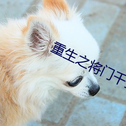 重生之将门千金 （救死扶伤）