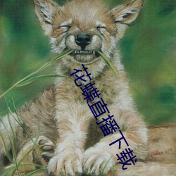 花蝶(蝶)直(直)播下(下)载(載)