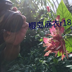 樱岛麻衣r18无遮掩全彩本 （风起泉涌）