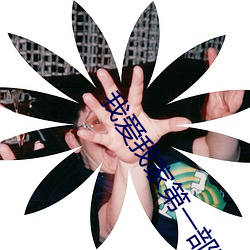 我爱我家第一部电视剧免费版