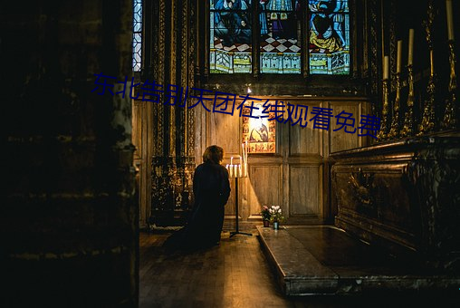 東北告別天團在線觀看免費
