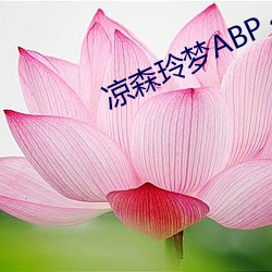 凉森玲梦ABP～984正在播放