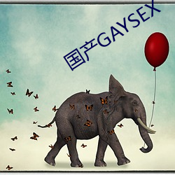 國産GAYSEX